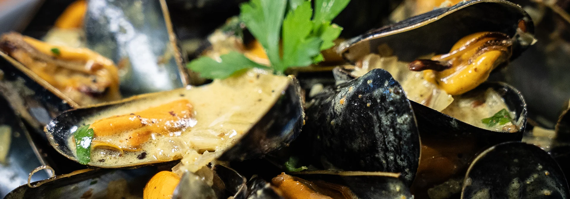 Recette : Recettes de moules